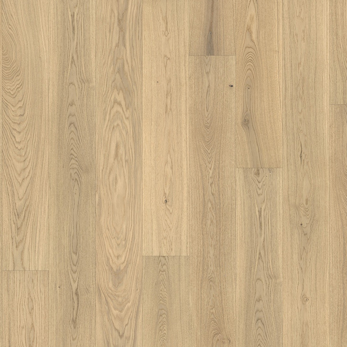 Buy Parador Basic Classic Oak Pure Wide Plank Online Flooring King