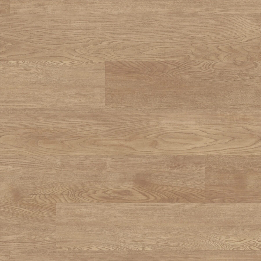 Palio Gluedown – Tavolara PVP144