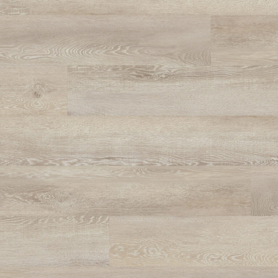 Palio Gluedown – Palmaria PVP149